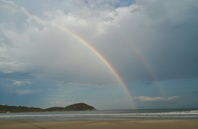 Waterfront home with large green yard