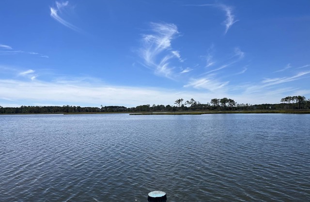 Waterfront Home with Private Walk out Dock on the Bay in Fenwick