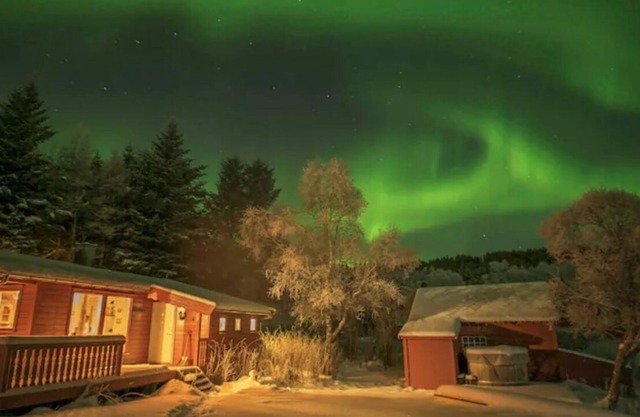 Waterfront mountain view cabin Lofoten