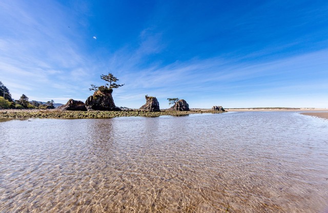Waterfront Oasis! 2 BR with a View