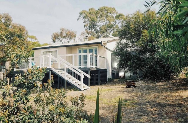 Wattle Bird Shack