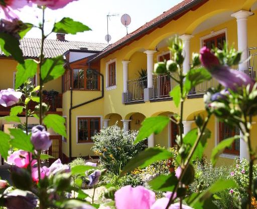 Weingut - Gästezimmer zum Schwalbennest