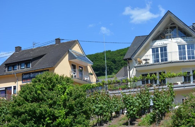 Weingut Sauer-Kettermann