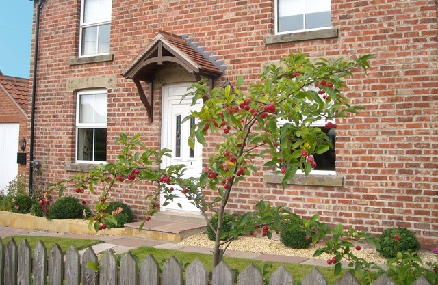 Welcome to Argil Cottage, a family cottage for 5 in the North York Moors