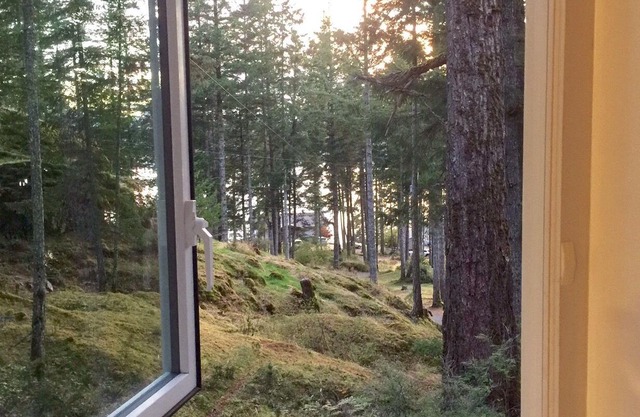 Welcome to Raven's Bluff Guest House.a bird's eye view.