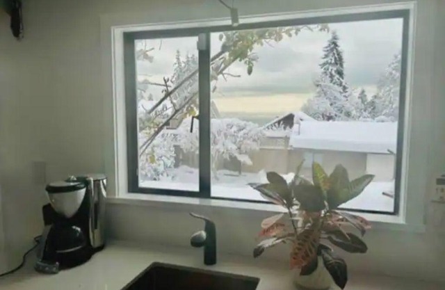 West Vancouver ocean view suiten