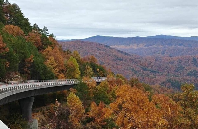 Westgate Smokey Mountains are calling!