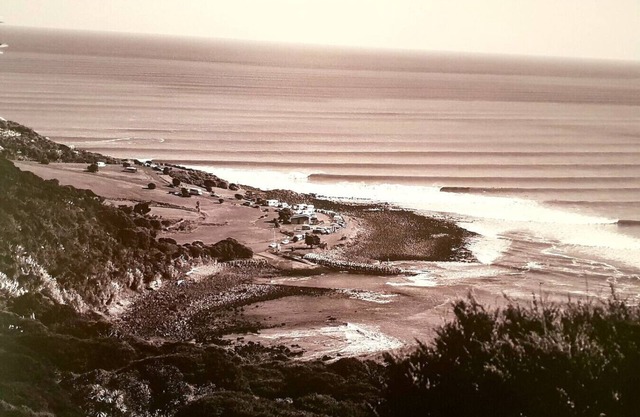WHALE BAY`S SURF MECA