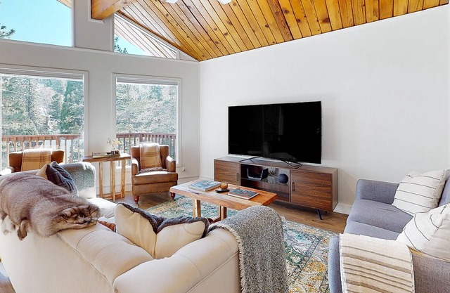 Whimsical cabin with modern amenities, spacious deck & washer/dryer