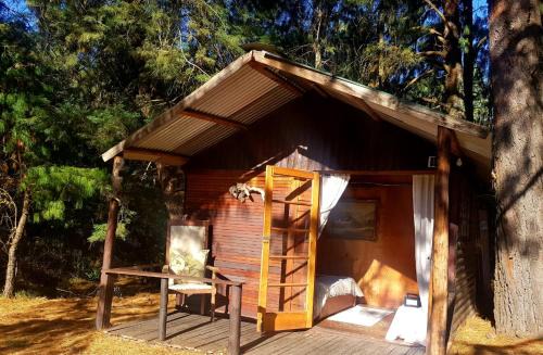 Whistling Woods Cabin