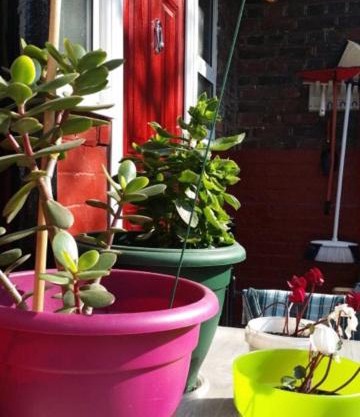 White city Apartment