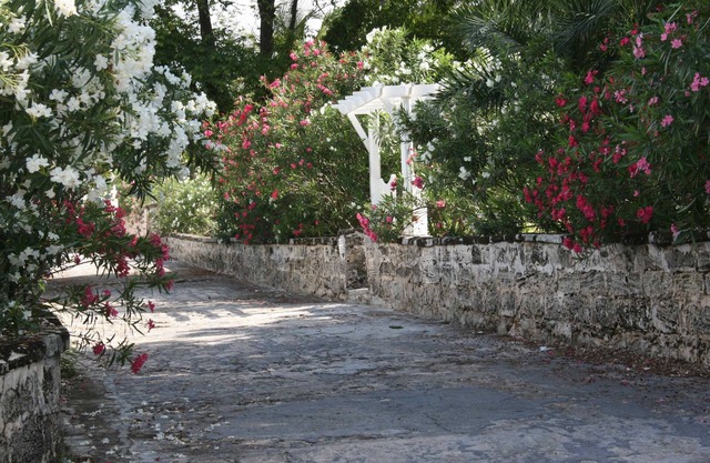 White Lodge- Classic house and lush gardens nestled on the Bay