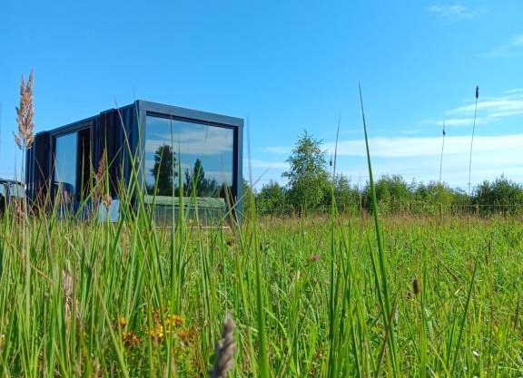 Wild Meadow