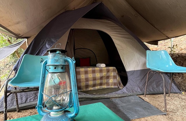 Wild Paradise Camp