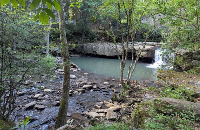 Wild & Wonderful WV cabin at Hominy Falls - 5 acres of wilderness on creek n