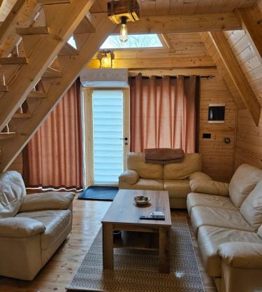 Wilderness Cabin