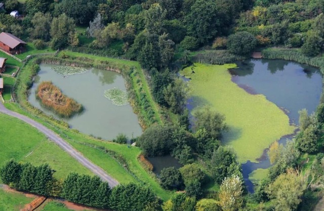 Willow Lakeside Lodge