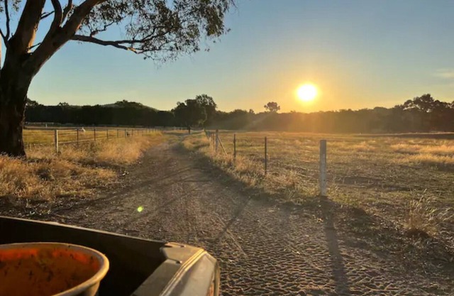 Willuna Sanctuary Farm Stay