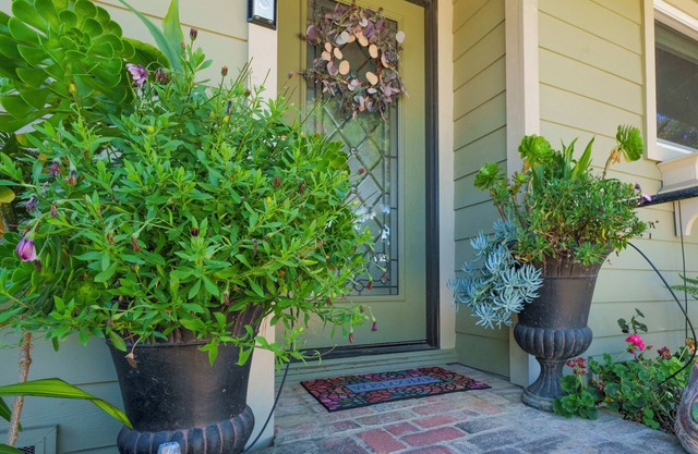 Wine Down Cottage in the Heart of Cambria