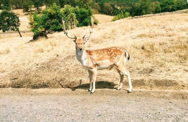 Winston-Salem! Never boring, Always Fun! Relax &.