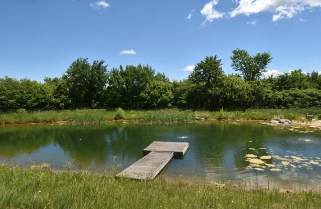 Winter ski/summer tennis & 2 ponds on 30 wooded acres, 7 km S of Creemore.