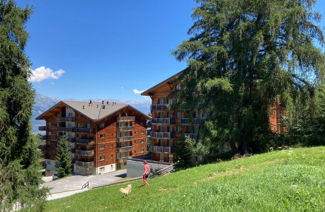 Wohnung ETHEROLLA NEND240 SKI IN AND SKI OUT