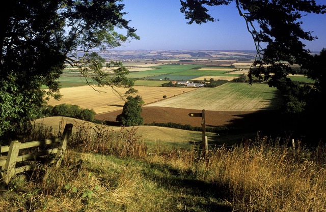 Wolds Holiday Cottage, Pocklington.York
