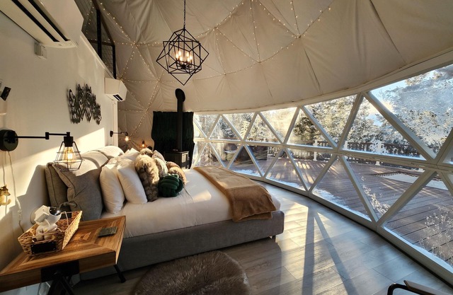 Wolf Dome at Winderdome Resort, a howling good time!