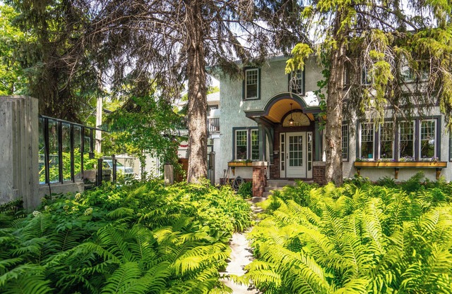 Wolseley Studio Oasis in beautiful forrest canopy settingnWith Hot Tub and Pool
