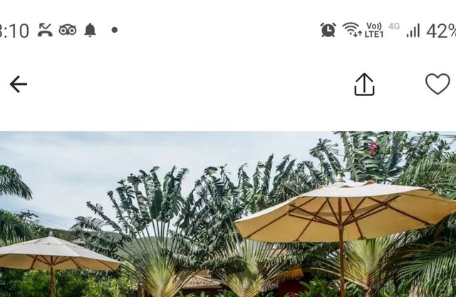 Wonderful house in Pauba 4 suites with all the infrastructure