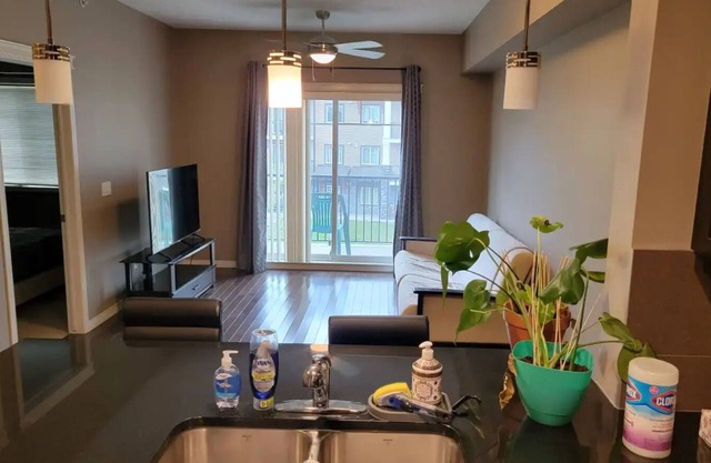 Wonderful One bedroom Condo