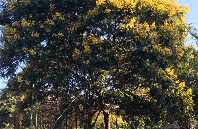 Wonderful place located in Boituva, perfect for weekends and parties.