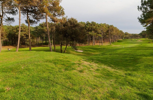 Wonderful private villa for 10 people with WIFI, TV, terrace and pets allowed