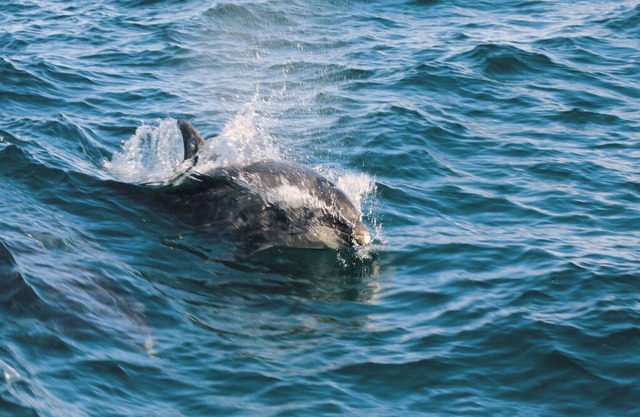 Wonderful private villa for 4 guests with WIFI, hot tub, TV, patio, panoramic view and parking