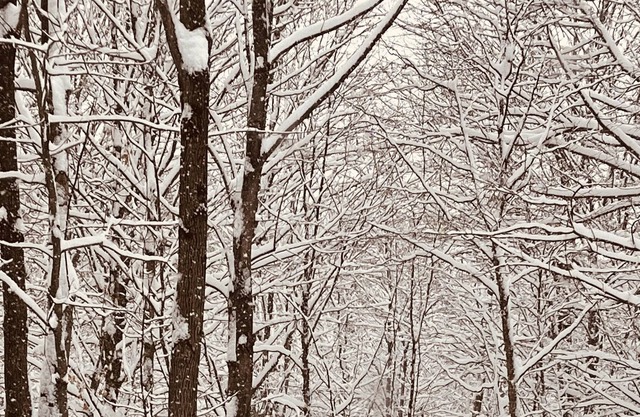 Wonderful ski in ski out