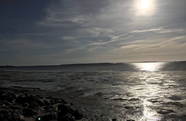 Wonderful vacation apartment on the Wieker Bodden