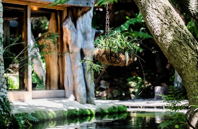 Wonderland Cape Town