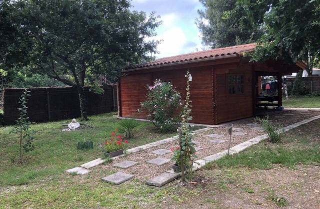 Wooden chalet in a wooded setting