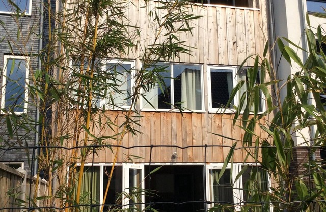 Wooden house close to Amsterdam, Utrecht, Amersfoort, lakes and nature