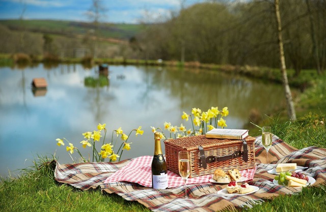 Woodland Cottage, South Moulton, a beautiful, spacious cottage on two floors in a private location