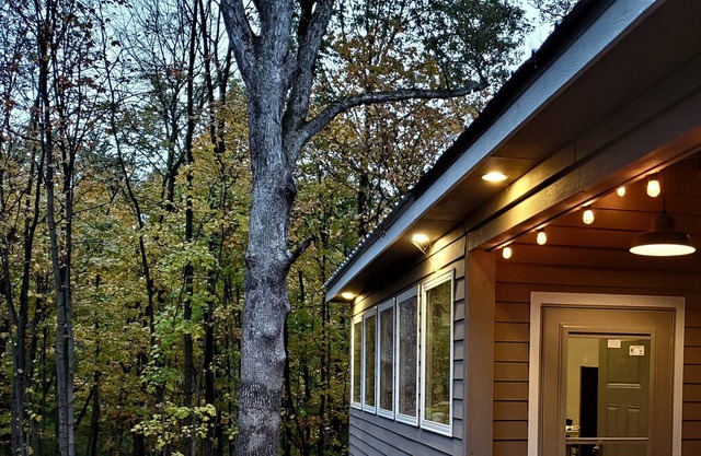 Woodland coziness