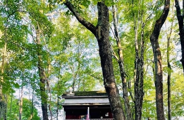 Woody’s Treehouse Hideaway In French Creek,W.Va great deer hunting