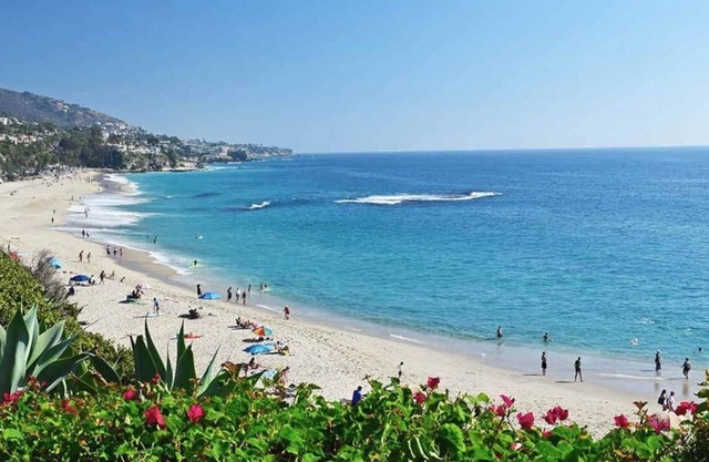 Work from home in paradise near Disney and Beach