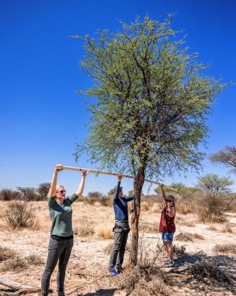 Working with Wildlife Conservation Safari on Khamab Kalahari Reserve