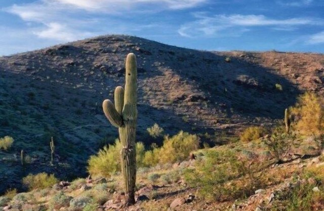 WorldMark South Mountain Preserve - 2 Bedroom
