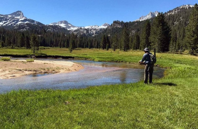 WWM Room 7A: Yosemite Base camp explore The E Sierras