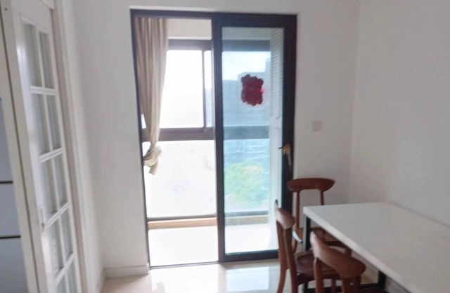 xinhongqiaoshoufu apartment welcome shanghai，nice to meet you~i will support you