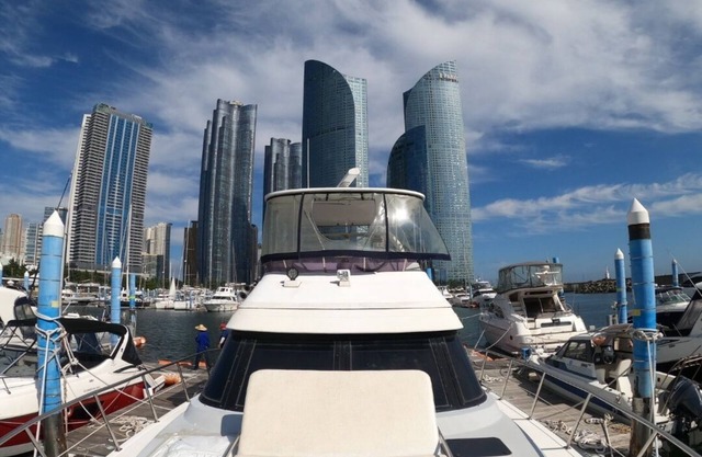 Yacht King