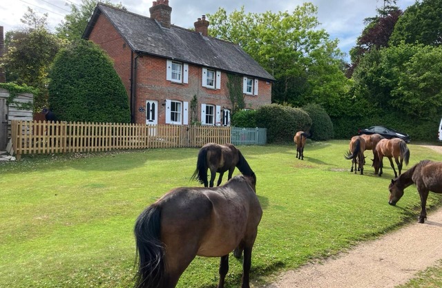 Yew Tree Cottage in the Heart of the New Forest