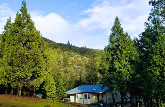 Yosemite Getaway | Starlink + Forest Views